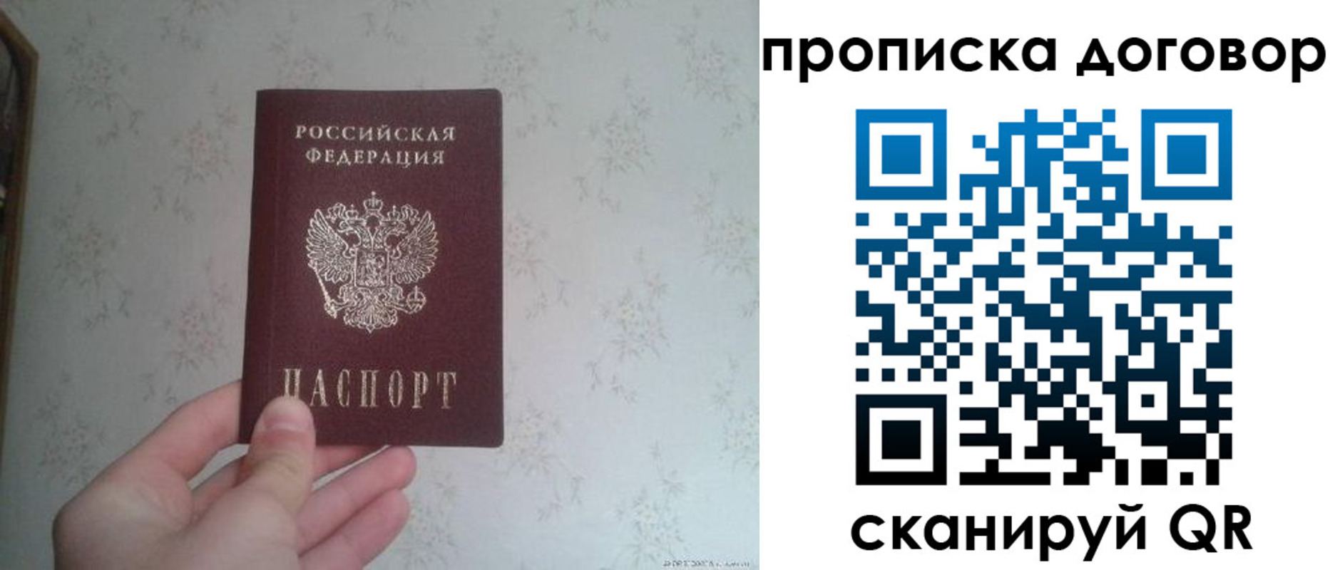 прописка паспорт в Апатитах